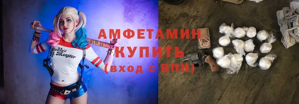 шишки Заводоуковск