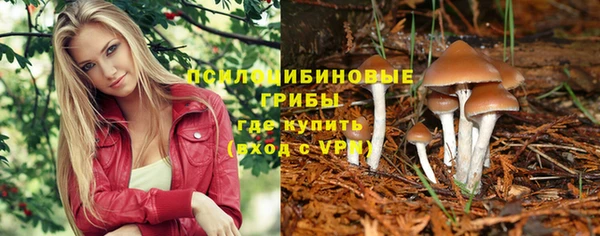 первитин Абинск