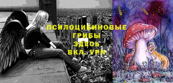 мет Абаза