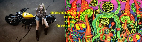 первитин Абинск